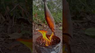 Single mom show SMART idea for survival in forest camping outdoor bushcraft lifehacks [upl. by Aerona143]