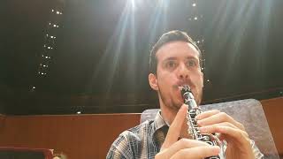 Shostakovich Symphony n5 part 2  Eb Clarinet excerpts mov IV [upl. by Sibylle]