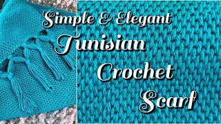 How To Crochet an Elegant Tunisian Scarf  Knotted Fringe Tutorial [upl. by Ahsirtak]