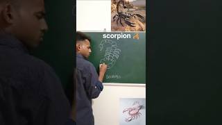 The quotscorpionquot diagram art [upl. by Figone]