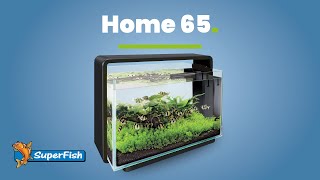 Superfish Home 65  Aquascaping [upl. by Dolloff868]