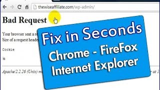 How To Fix 400 Bad Request Error in Seconds  Chrome FireFox IE [upl. by Reldnahc]