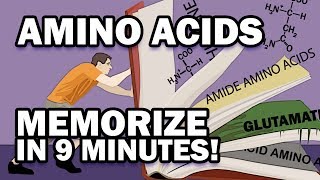 Memorize the 20 Amino Acids in 9 Minutes [upl. by Awhsoj615]