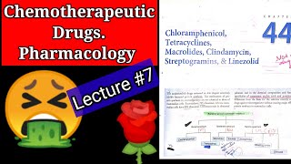 Chemotherapeutic drugs pharmacology lecture7 chapter 44 chloramphenicol tetracycline MACROLIDES [upl. by Welby]