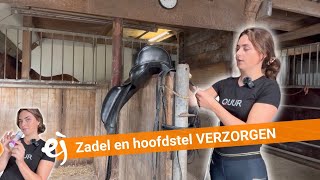 HOW TO Zadel en hoofdstel verzorgen  5  EPPLEJECK [upl. by Wales]