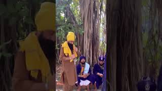 nihang singh power status nihang khalsa khalsapanth [upl. by Jerold]