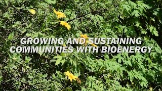 Growing and Sustaining Communities with Bioenergy [upl. by Judy]