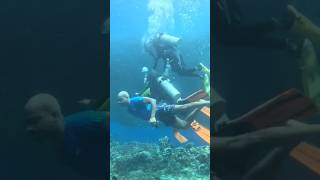 underwaterswimming swimming underwaterdiving shorts youtubeshorts [upl. by Aileve]