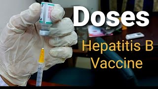 Hepatitis B Screening and Vaccination [upl. by Aliakim664]