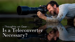 Are Teleconverters Necessary for Wildlife Photography [upl. by Ettebab]