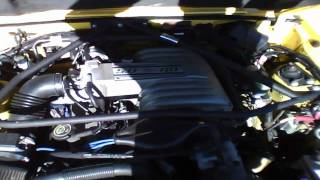 1993 Ford Mustang Convertible 50L V8 Start Up amp Rev [upl. by Huskamp]