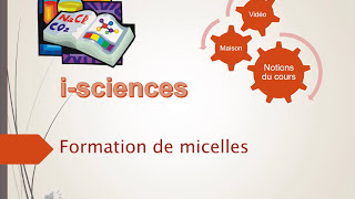 Formation de micelles [upl. by Aisha639]