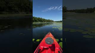 Pinery Provincial Park kayaking the ‘Old Ausable Channel’ [upl. by Eirellam]