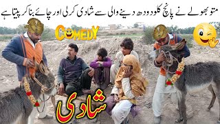 numberdar new funny video 2023  Number daar  shaadi  matto number dar top funny video peep HD [upl. by Orazio]