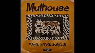 Mulhouse  Rave In The Jungle [upl. by Khai105]