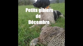 Petits gibiers de décembre [upl. by Getter205]