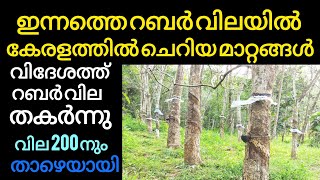 ഇന്നത്തെ റബ്ബർ വിലയിൽ പ്രതീക്ഷ മങ്ങി കേരളം  Manojnediyackal rubber tapping [upl. by Arrim308]