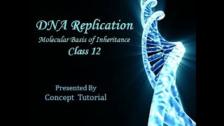 DNA Replication Hindi  Molecular Basis of Inheritance Part 7  Biology Class 12NEET [upl. by Castora716]