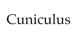 How to Pronounce Cuniculus [upl. by Enileqcaj755]