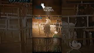 TIBERIO DE TICUMAN VS TIZOC jaripeodeepoca [upl. by Yniatirb]