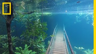 Heavy Rains Submerge Hiking Trails in Crystal Clear Waters  National Geographic [upl. by Terrance212]