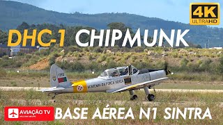 The Last Operational DHC1 Chipmunks • Portuguese Air Force • Força Aérea Portuguesa • BA1 • Sintra [upl. by Nannoc241]