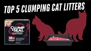 Top 5 Cat Litters That CLUMP Like a DREAM in 2024 [upl. by Quirk]