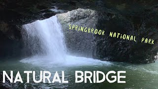 Natural Bridge  Springbrook National Park  Gold Coast Australia [upl. by Orose215]