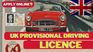 Apply For Your UK Provisional Driving Licence  Provisional Driving Licence UK  Living in the UK [upl. by Collen]