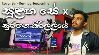 Sulanga Se x Suragana Kirilliye සුළඟ සේ x සුරඟන කිරිල්ලියේ  Cover by  Ravindu Jeewantha [upl. by Omocaig725]