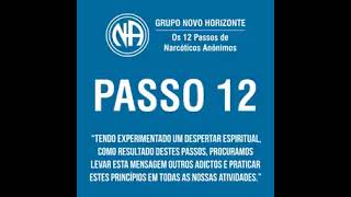 Passo 12  Narcóticos Anônimos [upl. by Noxaj986]