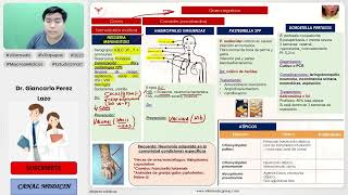 INFECCIONES BACTERIANAS PARTE 4  GRAM NEGATIVOS  INFECTOLOGÍA  VILLAMEDIC [upl. by Helge]