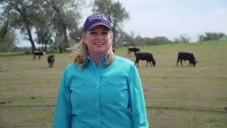 UltiGraz Pasture Weed amp Feed Costeffectively Keeps Pasture and Hay Production on Track [upl. by Wilcox]