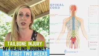 Tailbone Injury  My Healing Journey  First Two Weeks [upl. by Alessig]