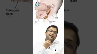 Spotlight on Salivary Gland Cancer Everything you need to know  Dr Amit Chakraborty Mumbai [upl. by Amuh539]