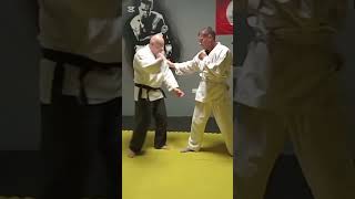 aikido martialarts silifke [upl. by Iggem591]