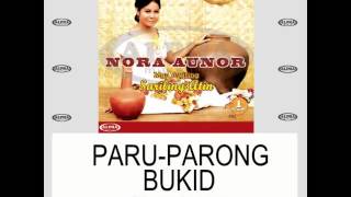 Nora Aunor  PARUPARONG BUKID Lyric Video [upl. by Persson62]