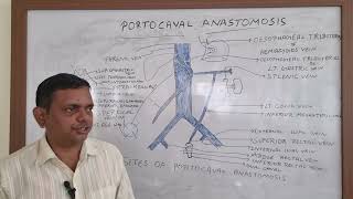 PORTOCAVAL ANASTOMOSIS PORTOSYSTEMIC ANASTOMOSIS ABDOMEN ANATOMY [upl. by Raddie]