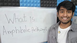 Learn What is an Amphibolic Pathway Dual Function Pathways in Metabolism in Biology [upl. by Nnayrrehs881]