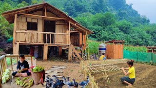 full video the first days of building a wooden house and the family farm [upl. by Iblehs]