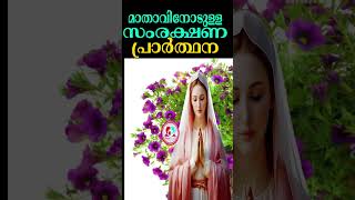 മാതാവിനോടുള്ള സംരക്ഷണ പ്രാർത്ഥന mothermaryprayer for protection October 3rd 2024 dailyprayer [upl. by Demott]