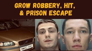 Grow Robbery Leads To Gangland Hit  UK Street Crime Studios [upl. by Lupien]