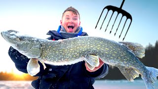 Minnesota Darkhouse Spearing for Big Northern Pike [upl. by Nakhsa]