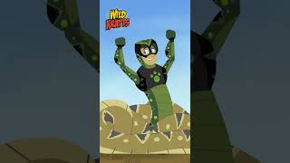 Did Chris Just Reach the Top of the Food Web  Wild Kratts [upl. by Anitak]