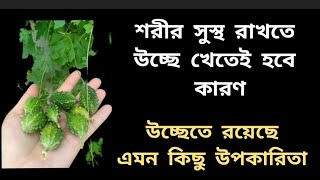 উচ্ছের স্বাস্থ্য উপকারিতা  Uchhe r upokarita [upl. by Lleirbag]