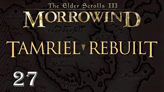 Ca cest une bonne quête   TAMRIEL REBUILT  27 [upl. by Davie]