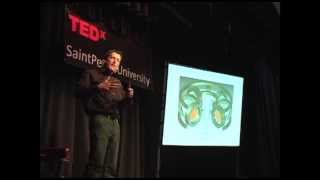 Fusion Energy Utopian or Practical Andrew Zwicker at TEDxSaintPetersUniversity [upl. by Amikay]