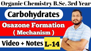 Formation of osazone mechanism Glucose Fructose osazone formation BSc 3rd year organic chemistry [upl. by Aisyram]