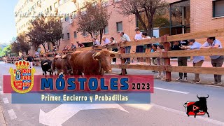 🐂 🏃🏻 PRIMER ENCIERRO mostoles 2023 [upl. by Roma283]