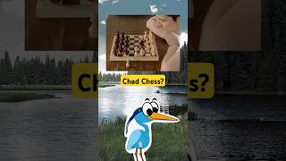 Chad Chess [upl. by Aihppa]